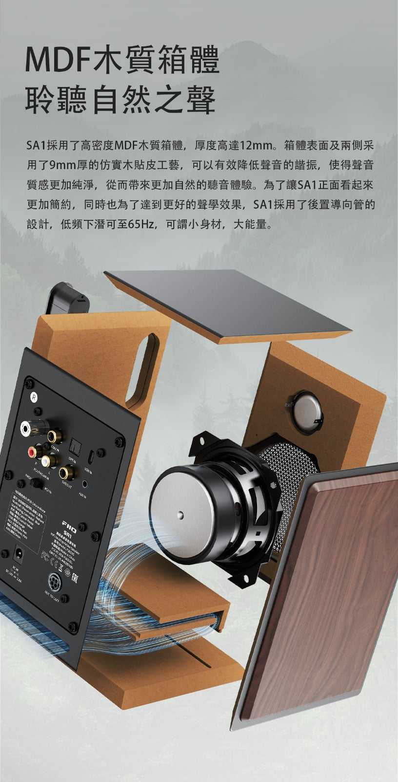 Fiio SA1
