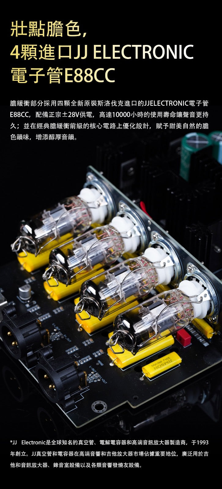 FiiO 温拿 WARMER R2R (台式R2R膽放大解碼器)