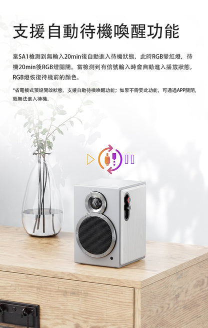Fiio SA1